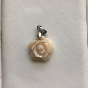 Rose Charm- Light Peach
